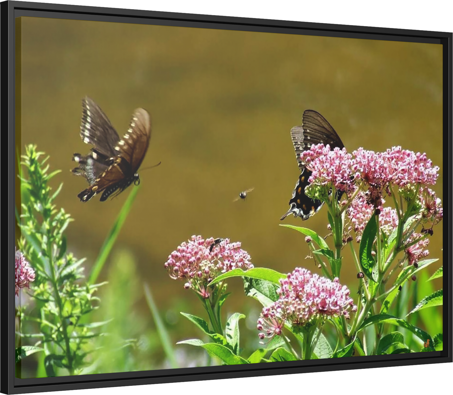 Reflections of Serenity, Framed Canvas Print